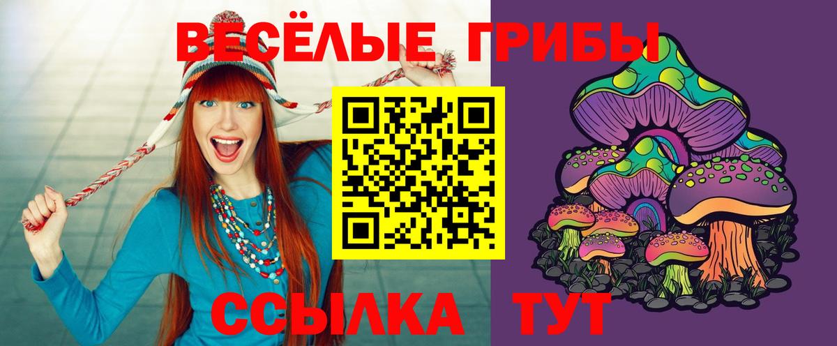 Ессентуки  Псилоцибиновые грибы Psilocybine cubensis  Галлюциногенные грибы Psilocybe  Вход с VPN 