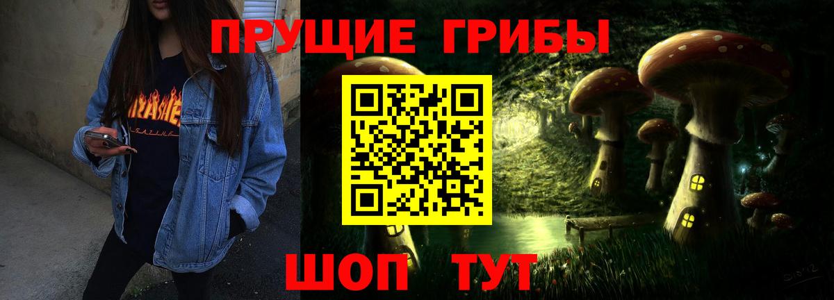 Псилоцибиновые грибы Psilocybe Ессентуки